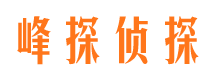 兰西找人公司